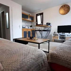 Super Cocooning Vu Mont Blanc Appartement Sallanches